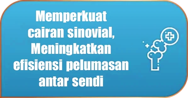 Memperkuat cairan sinovial, meningkatkan efisiensi pelumasan antar sendi