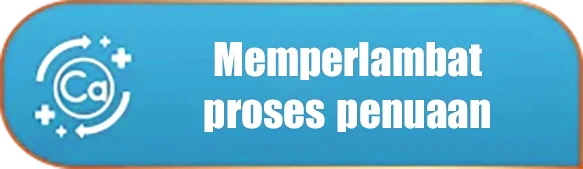 Memperlambat proses penuaan