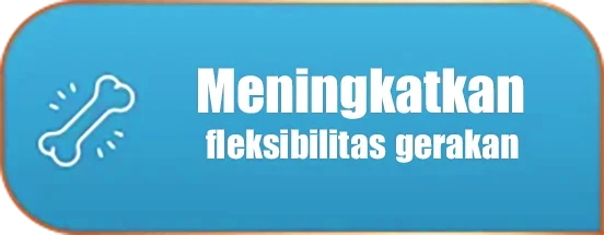 Meningkatkan fleksibilitas gerakan