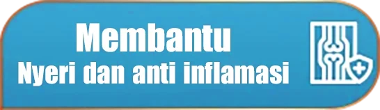 Membantu meredakan nyeri dan anti inflamasi